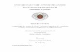 UNIVERSIDAD COMPLUTENSE DE MADRID - …eprints.ucm.es/18034/1/T34203.pdf · y efectos protectores en progenitores de oligodendrocitos MEMORIA PARA OPTAR AL GRADO DE DOCTOR PRESENTADA