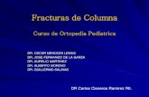 Curso de Ortopedia Pediatrica - mic.com.mx · PDF fileCurso de Ortopedia Pediatrica DR. OSCAR MENDOZA LEMUS DR. JOSE FERNANDO DE LA GARZA DR. ... Los inmovilizadores se dividen en