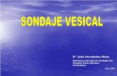 Dª Julia Hernández Mora - SESCAM Vesical.pdf · la vejiga urinaria, que ha almacenado la orina proveniente de los riÑones a traves de los ureteres y que al ... alivio de la retencion
