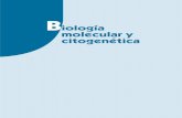 Biología molecular y citogenética -   · PDF filey de la citogenÉtica molecular 7. tÉcnicas de hibridaciÓn de los Ácidos nucleicos..... 205 objetivos