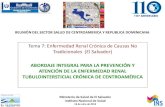 Tema 7: Enfermedad Renal Crónica de Causas No ... 7...Tema 7: Enfermedad Renal Crónica de Causas No Tradicionales (El Salvador) ... Health care financing research report-end stage