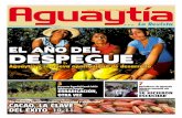 EL AÑO DEL DESPEGUE - …img.inforegion.pe.s3.amazonaws.com/wp-content/uploads/revistaAguay... · sino que pone en peligro las inversiones privadas, las del gobierno central, regional,