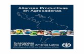 Alianzas Productivas en Agrocadenas - fao. · PDF fileDesarrollo Agrario del MINAG del ... dado que el 40 por ciento del ingreso total es percibido por ... agentes productivos que