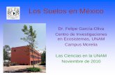 Dr. Felipe García-Oliva Centro de Investigaciones en ... · PDF filedisponibilidad-captura de C en suelos Mexicanos. • Estudiar los efectos de manejo sobre estos procesos. • Definir