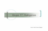 Grupo 17. Halógenos - depa.fquim.unam.mxdepa.fquim.unam.mx/amyd/archivero/Grupo17Halogenos_5802.pdf · Propiedades de los halógenos ... •Alta estabilidad físico-química y nula