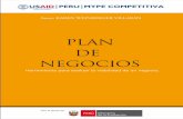 PLAN DE NEGOCIOS - haldm.files. · PDF filePlan de Negocios USAID/Perú/MYPE CoMPEtItIvA 3 Capítulo 01 KAREN WEINBERGER VILLARáN Herramienta para evaluar la viabilidad de un negocio.