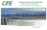 Gerencia de Proyectos Geotermoeléctricos - …dep.fie.umich.mx/~mgraffg/Escuela_de_Verano_2011/Sesion_I_files... · Una empresa de clase mundial Gerencia de Proyectos Geotermoeléctricos