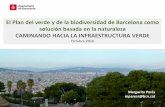 El Plan del verde y de la biodiversidad de Barcelona como ... · PDF fileen posición vertical / hacer una pared con vegetación (plantando trepadoras) / crear reservorios-rincones-refugios