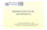 BIENESTAR FETAL ANTEPARTO - · PDF fileclínica) (Grado de recomendación A). Test basal no estresante (Protocolo SEGO Control bienestar fetal anteparto 2009) • Debe ser considerado