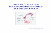 PRINCIPALES MALFORMACIONES  · PDF filePrincipales malformaciones digestivas. A. Cuñarro Alonso. PRINCIPALES MALFORMACIONES DIGESTIVAS. Si bien la mayoría de las