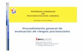 Procedimiento general de evaluación de riesgos · PDF fileBateria de Factores Psicosociales de Salud Laboral ... • Exigiéndose para evaluaciones de nivel avanzado, que se trate