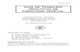 GUIA DE TRABAJOS PRACTICOS DE FISIOLOGIA · PDF file26/10 Trabajo Práctico Nº 16 Efecto de los herbicidas ... QUIMICA ORGANICA FUNDAMENTAL QUIMICA ... Absorción de cationes y de