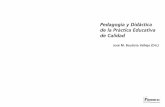 Pedagogía y Didáctica de la Práctica Educativa de Calidad · PDF fileTlf./Fax: 95 594 20 45 ... (Dinamarca), Universidad Nacional de Asunción (Paraguay), National ... profesorado