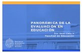 PANORÁMICA DE LA EVALUACIÓN EN EDUCACIÓN · PDF file2.amplía enfoques tradicionales respecto al rol de la ... equipos docentes, el equipo directivo ... Preguntas orientadoras sobre