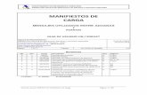 MANIFIESTOS DE CARGA - Agencia · PDF file2 4 24/11/10 Adición de EXS como documento de salida ... relativa tanto al medio de transporte, ... de conocimiento para el Manifiesto de