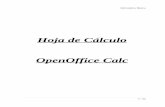 Hoja de Cálculo OpenOffice Calc - tokionatekno · PDF file2.8. Imprimir una Hoja de Cálculo ... 3. Trabajo con Calc ... control de balances, estudio de presupuestos,