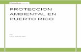 Protección Ambiental en Puerto Rico - Recinto Metrokalathos.metro.inter.edu/kalathos_mag/publications/archivo3_vol5... · Fideicomiso de Conservación de Puerto Rico. El Sierra Club