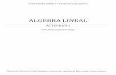 ALGEBRA LINEAL -   · PDF fileMéxico. UnADM. (2) - Sin autor (2011). Guía Docente. Algebra lineal. Grado en Ingenieria en tecnologías de telecomunicación, ingeniería