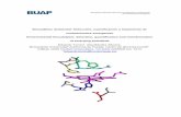 Biocatálisis Ambiental: Detección, cuantificación y ... · PDF filey los átomos de cobre de la lacasa, en ambos casos ... surfactantes, plaguicidas, productos farmacéuticos, productos