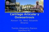 Cartilago Articular y  · PDF fileCartilago Articular y Osteoartrosis Asesor: Dr. Med. Eduardo Álvarez Tomás Alejandro Ramos Sánchez R3