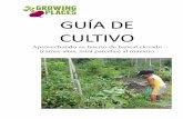 GUÍA DE CULTIVO - growingplaces.orggrowingplaces.org/wp-content/uploads/Growing-Guide_Fourth-Edition... · horticultores principiantes. ... Paso 1: Preparación de ... Al construir