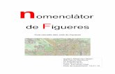 omenclàtor - · PDF fileNomenclàtor de Figueres 1r El tipus del vial treballat: carrer, plaça, avinguda, camí, baixada, carreró, ronda, passatge, calçada, travessia, jardí,