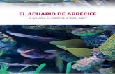 EL ACUARIO DE ARRECIFE - · PDF filequier otro acuario marino, y cuya observación, con la continuada aparición de micro vida, y el desarrollo de los corales, proporcionará al aficionado
