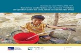 *memoria del taller OK - wsp. · PDF filePrograma de Agua y Saneamiento, ... sierra y selva), ... HYTSA-ECSA: “Estudio sectorial de los servicios de agua y saneamiento en pequeñas