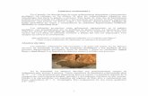Los ambientes sedimentarios más proximales y de grano …rmolina/documents/alluvialfanslecture.pdf · Microsoft Word - alluvial fans lecture.doc Author: Roberto Molina Created Date: