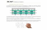 Reingeniería de Procesos - ECAF · PDF fileLa reingeniería de procesos busca llegar a la raíz de las cosas, no se trata solamente de mejorar los procesos, sino reinventarlos con