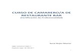 CURSO DE CAMARERO -  · PDF fileCURSO DE CAMARERO/A DE ... en los que además de los conocimientos teóricos básicos, se incluyan prácticas ... OBJETIVOS ESPECÍFICOS