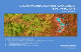 Composiciones Landsat en ARCGIS - · PDF fileLa firma espectral obedece a la composición y estructura misma de los objetos. La respuesta de la vegetación, por ejemplo, está asociada