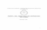 PERFIL DEL MERCADO DE ARÁNDANO EN CHINA informe de... · 1 noviembre - 2015 consulado general y centro de promociÓn argentina en shanghÁi perfil del mercado de arÁndano en china