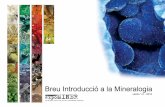 Cristal·litzat - massiu - media.firabcn.esmedia.firabcn.es/content/S002012/docs/introduccio_guia_mineralogia.… · Sou vosaltres els que podeu acostar els minerals als més joves