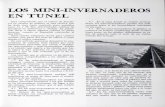 LOS MINI-INVERNADEROS EN TUNEL - · PDF fileVista exterior de algunos tipos de mini-invernaderos. PRESUPUESTO PARA CONSTRUCCION DE 1.000 m. DE MINI-INVERNADERO Hierro: 1.520 kilos
