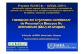 Formación del Organismo Certificador de Personal de END · PDF fileNDT workforce? If you’re an ASNT NDT Level III or SNT-TC-1A Level II, ASNT is offering you a special opportunity