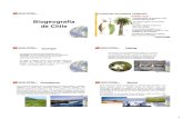 Biogeografía de Chile - · PDF file1 Biogeografía de Chile Ecología La ciencia que estudia los ecosistemas es la “Ecología”, la que investiga sobre las interrelaciones existentes