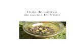 Guía de cultivo - cahuinadencul.netcahuinadencul.net/cultivo/cactus_invitro.pdf · Introducción La siguiente guía aborda la técnica del cultivo de cactus desde semilla in-Vitro.
