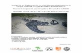 Estudio de las poblaciones de tortugas marinas ... - Por la … tecnica 2007 AECI_peq.… · Investigaciones de Biología Marina - CIBIMA y la Escuela de Biología), el Grupo Jaragua