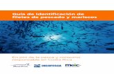 Guía de identificación de filetes de pescado y mariscoscnp.go.cr/.../guias/Guia_identificacion_filetes_pescado_mariscos.pdf · línea larga (longline, en inglés). Los atunes capturados