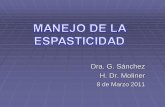 Dra. G. Sánchez H. Dr. · PDF filefisioterapia y terapia ocupacional fÉrulas y ortesis fÁrmacos toxina botulÍnica neurolisis quÍmica bomba de baclofen intratecal cirugia ortopÉdica