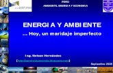 ENERGIA Y AMBIENTE - · PDF fileseguido por el del gas natural Cambio Climático:Obligación de reducir, a la brevedad, la emisión de gases de efecto invernadero. ... Hidratos de