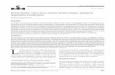 Fiebre tifoidea: caso clínico, estudio epidemiológico ... · PDF fileMedicina Interna de México Volumen 23, Núm. 5, septiembre-octubre, 2007 447 Fiebre tifoidea: caso clínico,