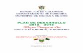 REPÚBLICA DE COLOMBIA - cdim.esap.edu.cocdim.esap.edu.co/BancoMedios/Imagenes/cienagadeorocordobapland… · LISTADO DE CUADROS ..... vi PRESENTACION ... mandatarios territoriales,