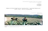 1. Transformaciones agrarias en el Ecuador - IRDhorizon.documentation.ird.fr/exl-doc/pleins_textes/doc34-05/27074.pdf · La agroexportacion en el Ecuador: antecedentes y pcriodizacion