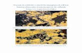 Procesos de oxidación y alteración supergénica de sulfuros ... · PDF fileEl proceso de enriquecimiento supergénico progresa con destrucción de ... y jarosita (jr). Las texturas
