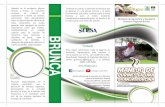 BRUNCA @InfoAgroCR InfoAgro Costa · PDF filetravés del adecuado manejo de purines, se mantenga un equilibrio en la conservación y fertilidad del suelo, así como, el buen estado