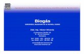 Biogas CORFO 11-07 - · PDF file• Purines de vacuno • Guano de aves ¾Escasa producción de biogás ¾Buena disponibilidad ¾Costo cero ¾No tiene mercado Desechos orgánicos de