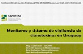 Presentación de PowerPoint - EULA | Universidad de ... · PDF fileFLORACIONES DE ALGAS NOCIVAS (FAN) EN SISTEMAS ACUATICOS CONTINENTALES Monitoreo y sistema de vigilancia de cianotoxinas