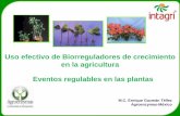Presentación de PowerPoint - REGULADORES DE · PDF fileUso efectivo de Biorreguladores de crecimiento en la agricultura M.C. Enrique Guzmán Téllez Agroenzymas-México Eventos regulables
